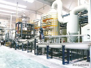 花开新密 探索“新密模式”，赋能美丽乡村与生活美容服务